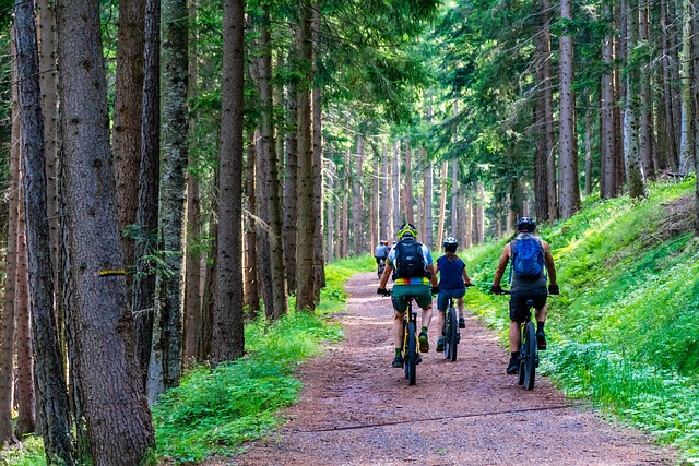 Darujte vaší přítelkyni cyklo dres Maloja